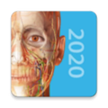 2020人體解剖學圖譜 2020.0.71