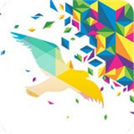 一个奇鸽最新版 v1.6.8