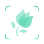 形色 v3.14.1