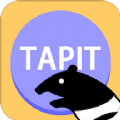 TapitӢapp