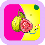 PILPILI噼哩噼哩在线观看 v2.8.2