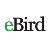 ebirdֻ v2.8.6