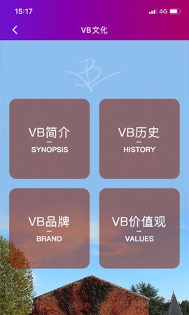 VBׯ