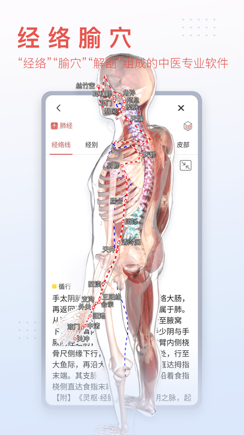 3Dbody°ֻapp-3Dbody޹ƽ