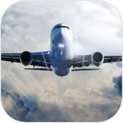 飞机模拟  v1.0