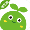 豌豆素质教育app  v2.9.2