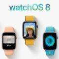 ƻwatchOS 8.5ļ 8Beta3  8Beta3