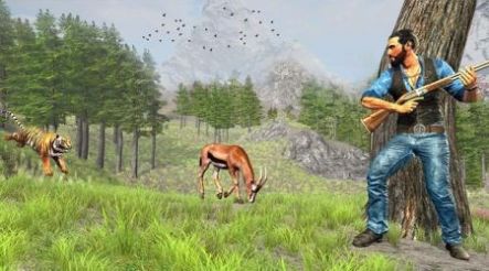 丛林动物狩猎游戏最新中文版 