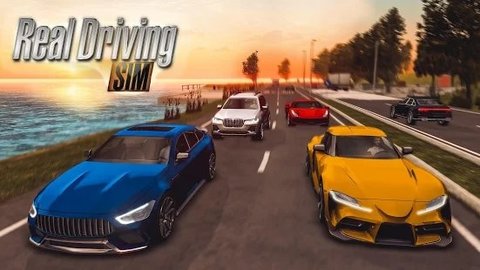 Real Driving SimϷ-Real Driving Sim°ving Sim°