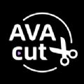 AVAcut  v1.0