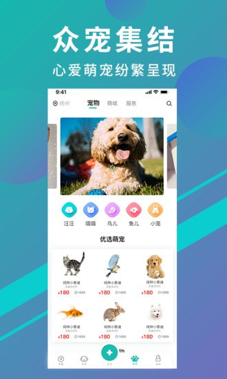 趼app-趼appٷv3.1.1