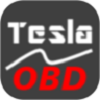 TeslaOBD  v1.0.1