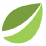 Bitfinex