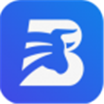 BiBull������