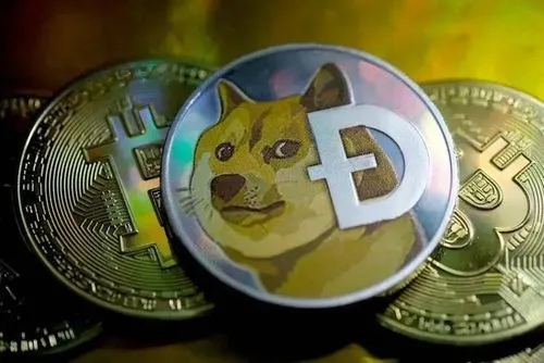dogeking币是什么