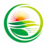 hbc������