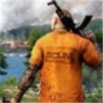 scum  v1.1