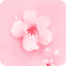 һֱ°