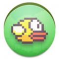 flappy?bird  v1.5.20