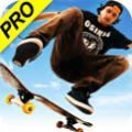 skate33