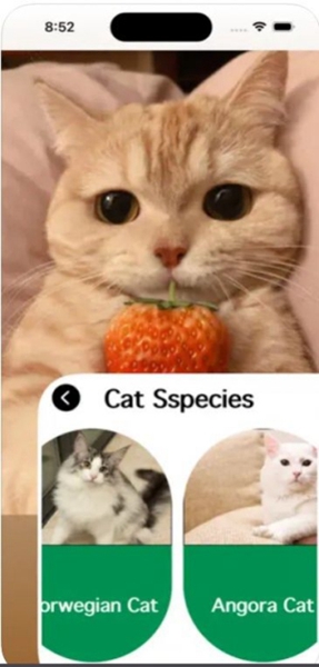 è