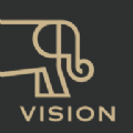 Vision
