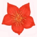 ҳapp