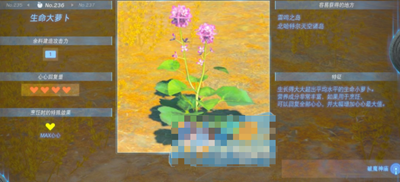 ֮ܲ