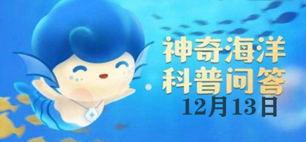 һ£˭ɺ湲С