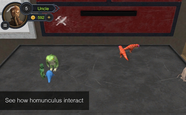 ɳ