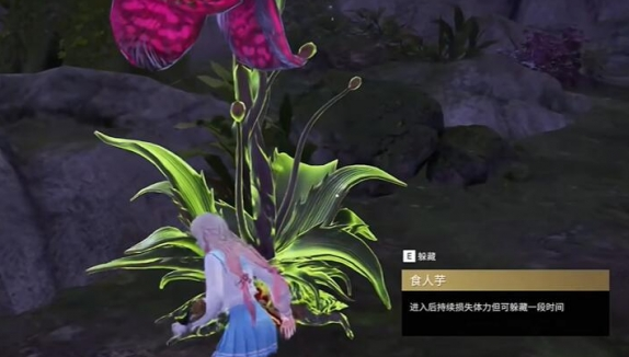޼ʳ