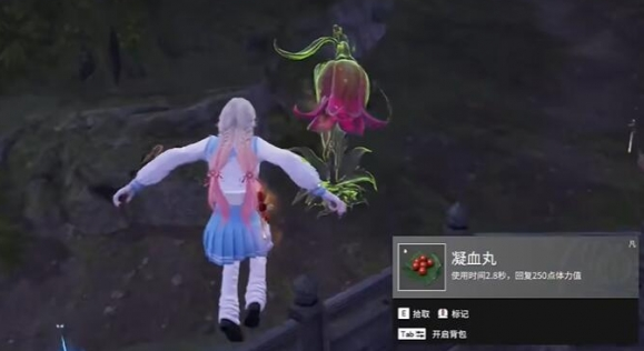 ޼ʳ