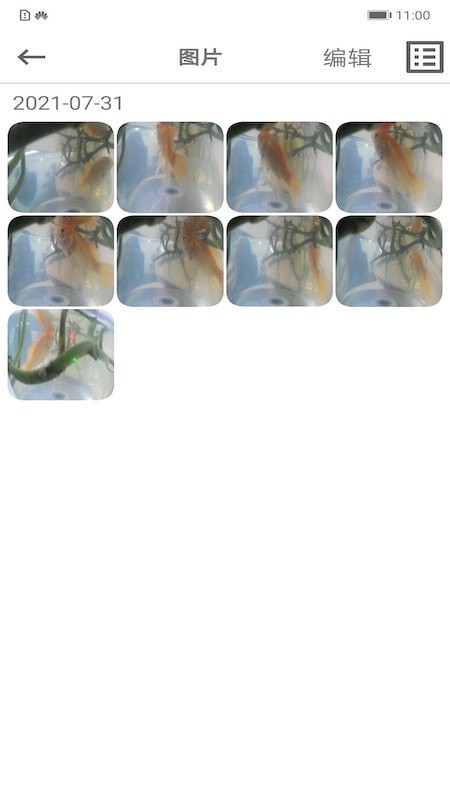 ¼