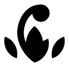 \