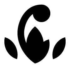 ƶ֮s12̽ռ