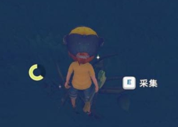 ʱӲľô
