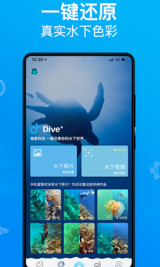 Dive+