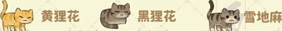 Դ˼èϲʲô