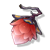 ȸô