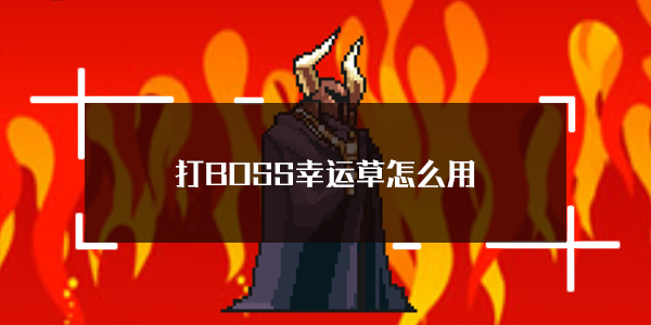 BOSS¼˲ʹƼ