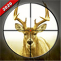 Ұ¹ѻ  v1.1.1