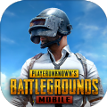 Էֻ  v6.5.5