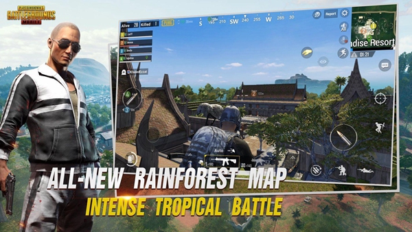 pubgװ