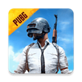 pubgװ