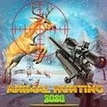 ѻ
