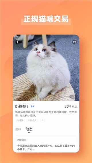 轴