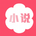 һС˵ƻ