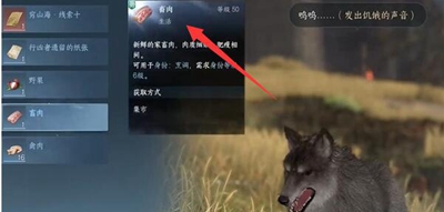 ˮ֮ʦô