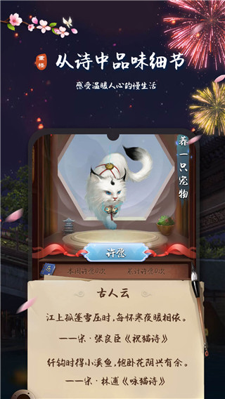 ¥