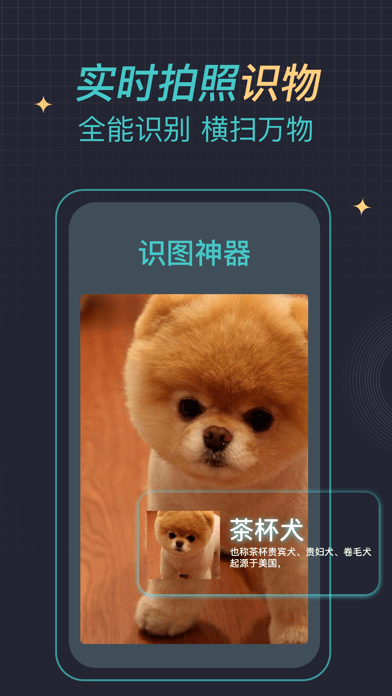 ʶͼ
